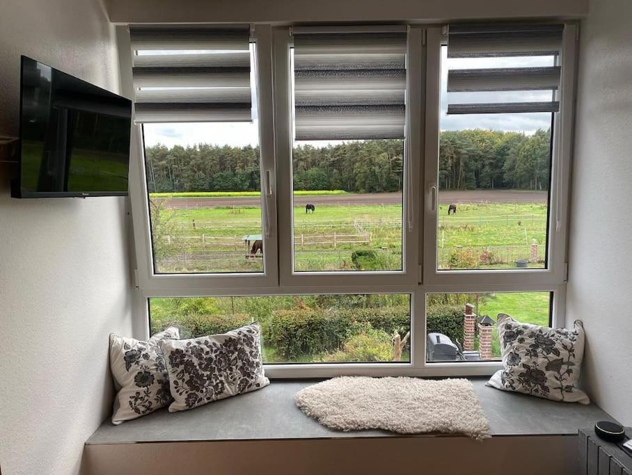 Wunderschoene Ferienwohnung Auf Dem Bauernhof Greven Exterior foto